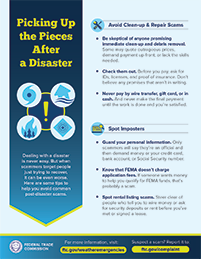 Thumbnail of infographic - Picking Up the Pieces After a Disaster